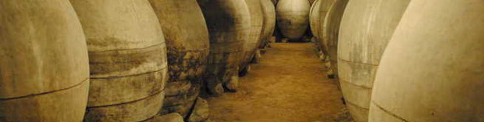 Enoturismo y comercio exterior