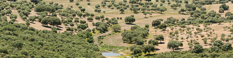 La realidad sobre los puestos de trabajo que generará la "Mina El Moto" 