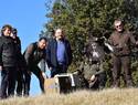 Castilla-La Mancha refuerza sus poblaciones de águilas con la liberación de tres ejemplares equipados con GPS en Ciudad Real