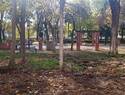 Delgado denuncia que la alcaldesa se niega a dar información sobre el criterio para la tala de los Jardines del Prado de Talavera
