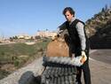 La jornada de basuraleza concluye con la recogida de más de mil kilos de chapas de tuberías arrastradas por la DANA del pasado año