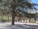El Ayuntamiento de Ciudad Real remodela y mejora de manera integral el parque de Valverde con una inversión de 47.000 euros