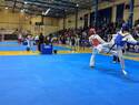 Más de 1.200 deportistas compiten en Ciudad Real el IX Open Internacional "Don Quijote" de Taekwondo