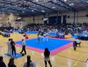 Más de 1.200 deportistas compiten en Ciudad Real el IX Open Internacional "Don Quijote" de Taekwondo