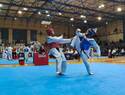 Más de 1.200 deportistas compiten en Ciudad Real el IX Open Internacional "Don Quijote" de Taekwondo