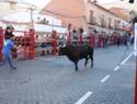 Tradición, cultura, música y diversión para todas las edades llenan las calles de Bargas durante el sábado de sus Fiestas