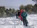 Senderistas de Tobarra desafían la nieve y el viento en una ruta invernal por la Sierra de Albacete