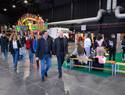 El Complejo IFEDI de Ciudad Real acoge la mayor feria navideña de Castilla-La Mancha con karts eléctricos y pista de hielo