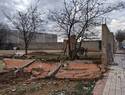 Más de un centenar de actuaciones coordinadas en La Roda por el fuerte temporal de viento