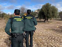 La Comandancia de la Guardia Civil de Toledo pone en marcha un dispositivo de prevención y control durante la campaña de recolección de aceituna 2025/2026