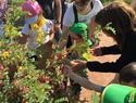Imagen: Niños de la ONCE participan en las III jornadas sobre plantas medicinales del Instituto Botánico