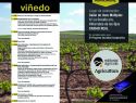 imagen de Más de 150 personas asistirán a la jornada regional “Rentabilidad y futuro del Viñedo” en Villarrubia de los Ojos