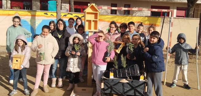 La Diputación de Toledo transforma patios escolares en oasis de biodiversidad con 'Patios Vivos'