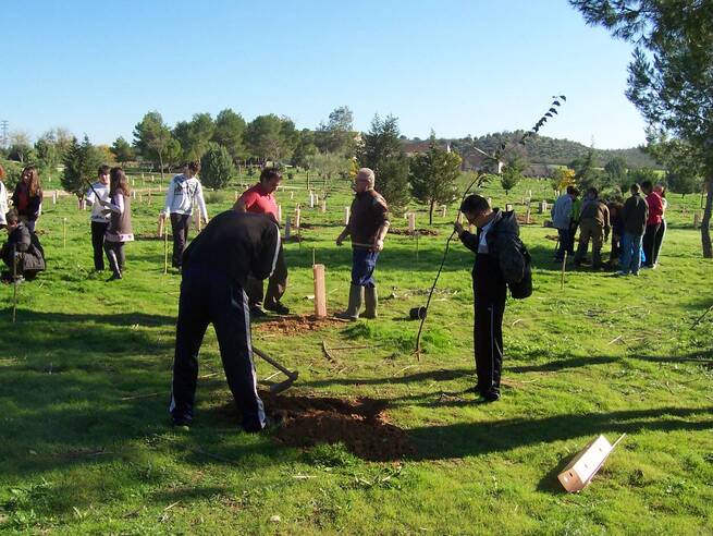Abierto el plazo para las Jornadas de Plantación Participativa en la Finca El Borril