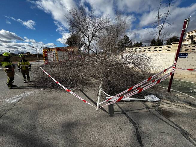 El fuerte viento causa más de 120 incidencias en Albacete con el Platemun activado en nivel 1