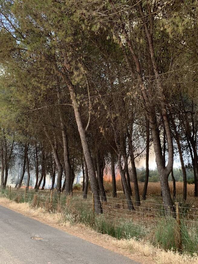 Incendios en Castilla-La Mancha: críticas a la gestión y propuestas para reforzar la prevención