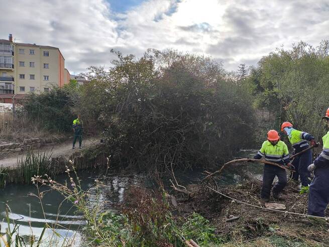 La Confederación Hidrográfica del Tajo inicia trabajos de conservación en cauces de Guadalajara tras acuerdo con la Diputación