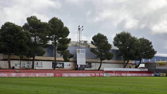 El Ayuntamiento de La Roda retirará nueve árboles del Campo Municipal de Deportes por riesgo de caída
