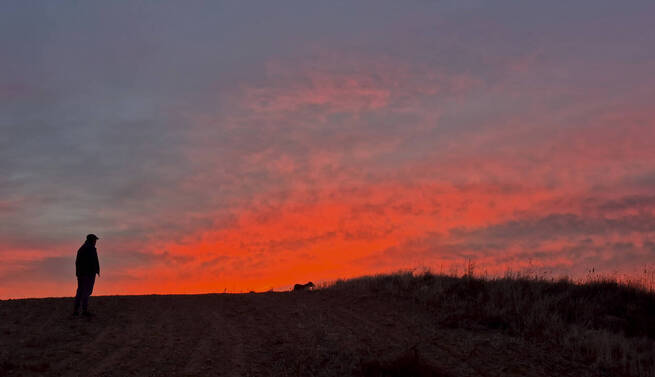 Auroras boreales iluminan el cielo de Guadalajara en un fenómeno insólito provocado por la mayor tormenta solar en 22 años