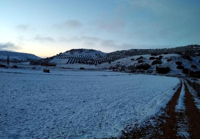 Carrizosa (Ciudad Real) amanece nevado por tercer año consecutivo