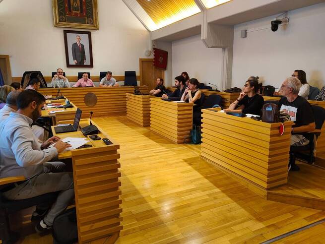 Ciudad Real avanza en su Plan Director del Arbolado para una gestión estratégica del patrimonio verde