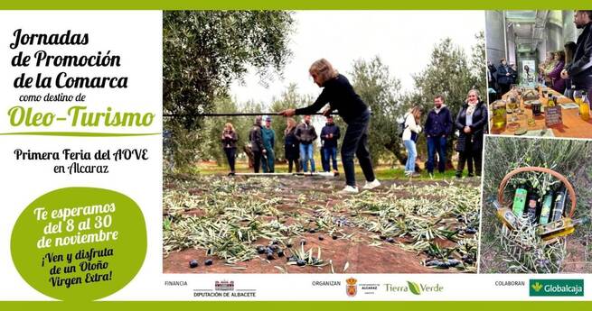 La Sierra de Alcaraz celebra un mes dedicado al aceite con jornadas de oleoturismo y su primera feria del AOVE