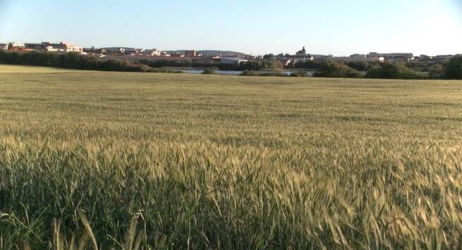«Notas poco conocidas de la historia de Pozuelo de Calatrava» rinde tributo al legado cultural superando obstáculos climáticos y burocráticos