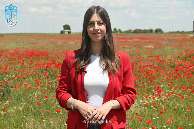 Los campos de amapolas de Socuéllamos (Ciudad Real) alcanzan a 16 millones de espectadores a través de medios nacionales y regionales