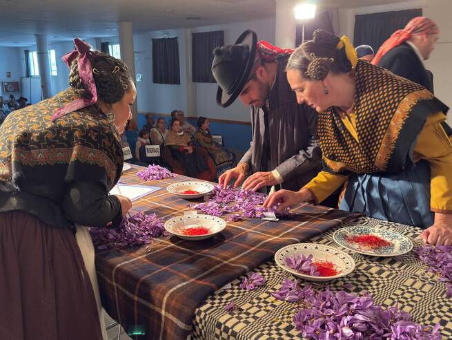Santa Ana corona al Jardín Botánico en su fiesta del azafrán