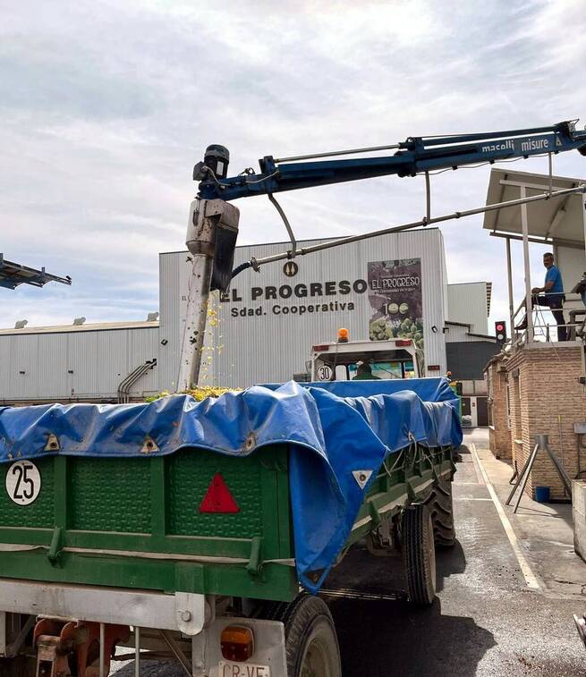 La vendimia en Villarrubia de los Ojos registra una cosecha un 20% inferior a lo previsto