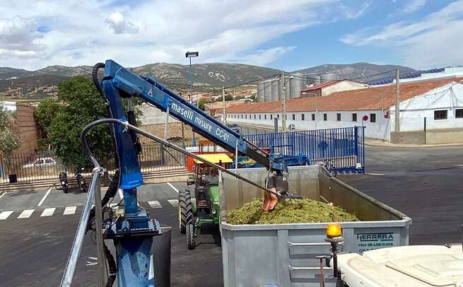 El Progreso ya envasa sus vinos jóvenes Chardonnay y Verdejo en la nueva embotelladora de la bodega