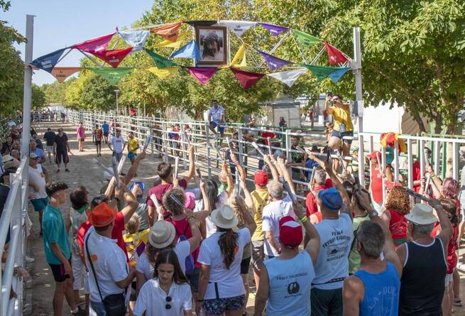 La Feria de Agosto de Marchamalo tendrá cinco días de eventos taurinos y seis noches de música en la Cubierta del Ferial
