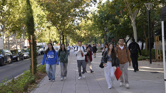 La UCLM lanza una microcredencial virtual sobre Derechos Humanos de las personas con discapacidad