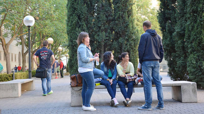 La UCLM celebra un seminario sobre el Diseño Universal de Aprendizaje para impulsar una enseñanza más inclusiva