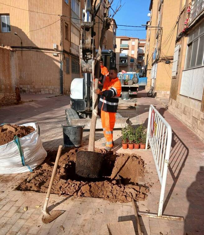 El Ayuntamiento de Albacete crea 130 nuevos alcorques en siete calles para incrementar la superficie verde de la ciudad