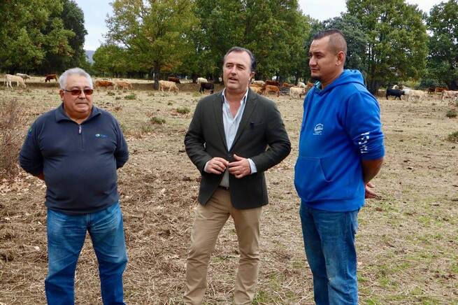 VOX impulsa una ofensiva legislativa para blindar el campo español frente a políticas europeas