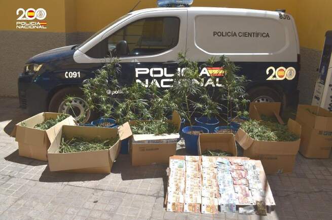 Detenido un clan familiar dedicado al cultivo "indoor" de marihuana en Puertollano (Ciudad Real)