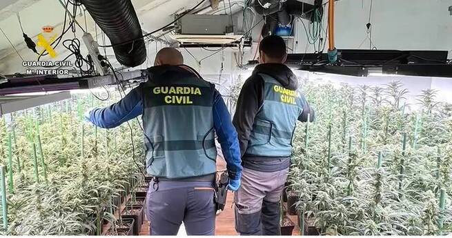 La Guardia Civil desmantela una organización criminal con ocho detenidos por cultivos de marihuana en Madrid y Toledo