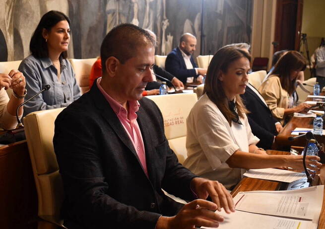 El PSOE denuncia que el Plan de Empleo de la Diputación de Ciudad Real "precariza trabajos esenciales y engaña a los municipios"