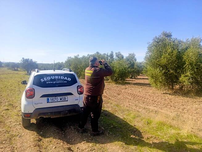 Torralba de Calatrava intensifica la vigilancia rural para proteger la cosecha de aceituna