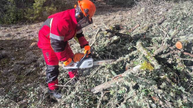 El Recuenco Guadalajara) facilita leña cortada a sus vecinos con un nuevo servicio municipal gratuito