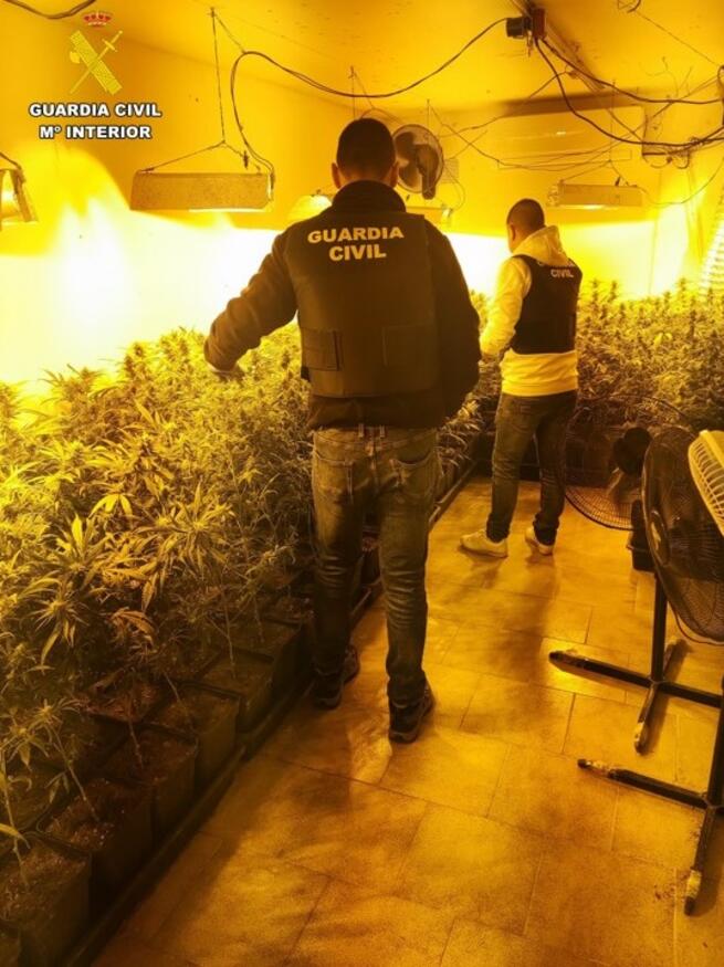 Cuatro detenidos en una operación antidroga en Santa Cruz de Mudela (Ciudad Real)