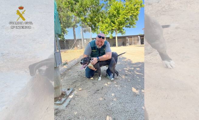 El SEPRONA investiga el abandono de un perro atado a una viga en plena ola de calor en Valdepeñas