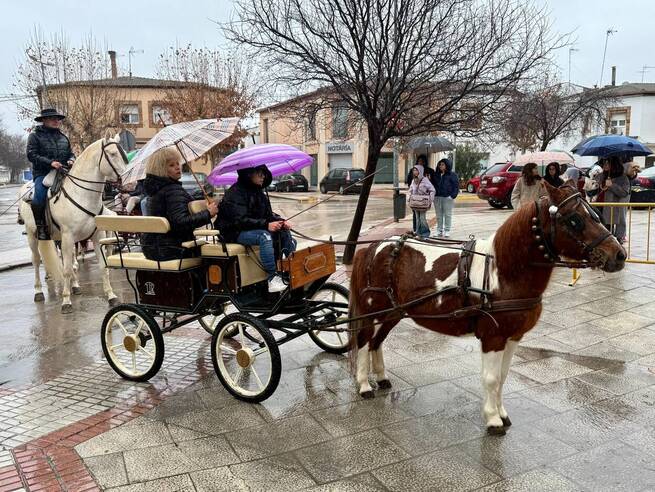 Villacañas celebra la festividad de San Antón Abad con procesión y bendición de animales