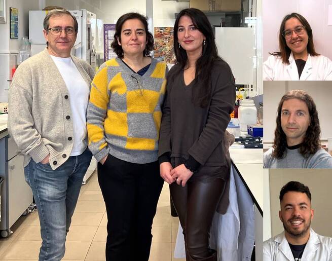 Investigadores de la UCLM desarrollan compuestos de oro y fósforo que reducen mil veces la replicación del virus Zika