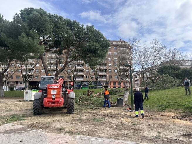 Talavera inicia la reposición "inmediata" de todo el arbolado dañado por el temporal