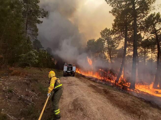 Castilla-La Mancha destinará cerca de 24 millones de euros en ayudas para reforzar el sector forestal de la región y prevenir incendios