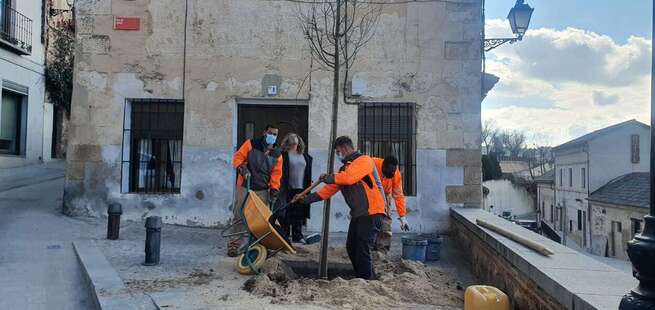 El Plan Anual de Plantaciones llega a la plaza del Conde de Toledo con nuevos árboles y arbustos y un presupuesto cercano a los 18.000 euros