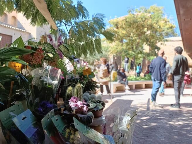 El Mercado de Flores de este sábado en el jardín de San Lucas de Toledo enseñará a elaborar un herbario