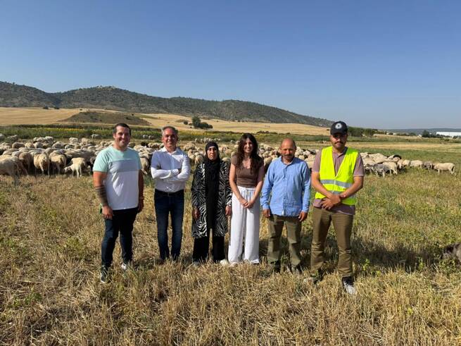 Castilla-La Mancha destina seis millones a mejorar el bienestar animal en explotaciones ganaderas durante 2025